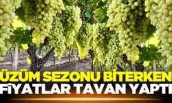 Sarıgöl'de üzüm sezonunun sonunda fiyatlar tavan yaptı