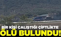 Yabancı uyruklu şahıs çalıştığı çiftlikte ölü bulundu