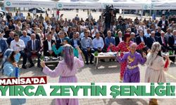 Yırca Zeytin Katliamının 10. yılında Zeytin Şenliği Yapıldı!