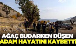 Budama yaptığı sırada ağaçtan düşen adam hayatını kaybetti