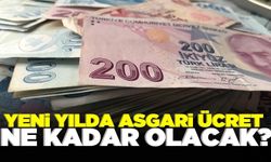 Asgari ücrete yüzde kaç zam gelecek?