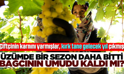 Bir Üzüm Sezonu Daha Bitiyor! Çiftçi Ne İstedi, Ne Aldı?