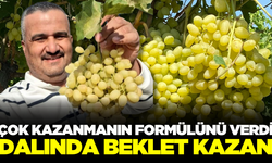 Üzümde daha fazla kazanmanın formülünü verdi!