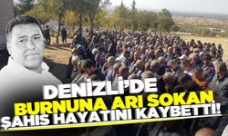 Denizli'de burnuna arı sokan şahıs yaşamını yitirdi