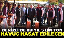 Denizli'de lezzetiyle ünlenen çakır havucu hasadı devam ediyor!