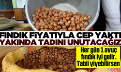 Fındık fiyatları cep yakıyor