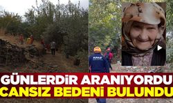 Uzun süre eve dönmeyen yaşlı kadın ölü bulundu