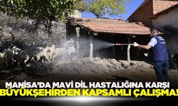 Manisa'da mavi dil hastalığına karşı kapsamlı çalışma