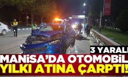 Manisa'da yılkı atına çarpan otomobildeki 3 kişi yaralandı