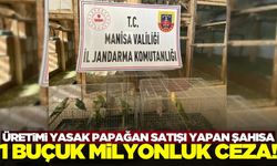 Manisa'da üretimi yasak papağan satışı yapan şahsa dudak uçuklatan ceza!