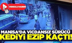 Manisa'da vicdansız sürücü kediyi ezip, kaçtı!