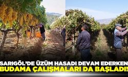 Sarıgöl bağlarında yeni sezona hazırlık başladı