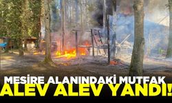 Mesire alanındaki mutfak alevlere teslim oldu