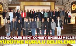 Şehzadeler'de Engelli Meclisi Yürütme Kurulu oluşturuldu