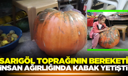 Sarıgöl Topraklarından Bereket Fışkırıyor! Devasa Kabaklar Yetiştirdi