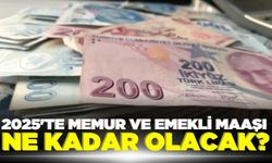 SGK uzmanı memur ve memur emeklisinin zam oranını hesapladı!