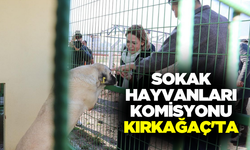 Sokak Hayvanları Komisyonu Kırkağaç'ta