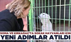 Manisa Büyükşehir sokak hayvanları için çalışmalarını sürdürüyor