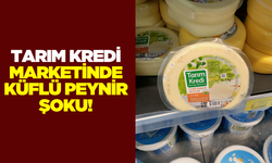 Tarım Kredi marketinde küflü peynir