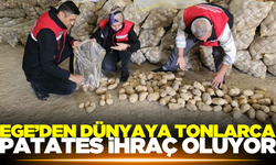 Tonlarca patates ihraç oldu