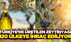 Türkiye'de üretilip 120 ülkeye ihraç ediliyor