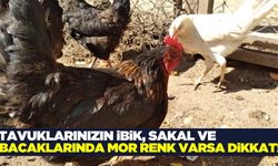 Uzmanından uyarı geldi! O belirtiler varsa dikkat