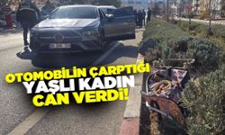 Yolun karşısına geçmek isteyen kadın canından oldu