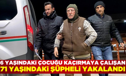 6 yaşındaki çocuğu kaçırmaya çalışan şüpheli: "Çocuğu okula götürecektim" dedi