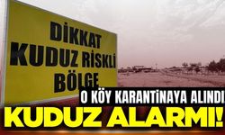 Adıyaman'ın köyünde kuduz alarmı! Köy karantinaya alındı