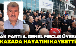 AK Parti İl Genel Meclis üyesi Yakup Urtaç kazada hayatını kaybetti