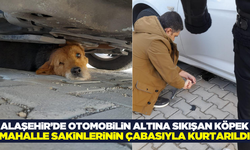 Alaşehir’de aracın altında sıkışan köpek, vatandaşların yardımıyla kurtarıldı