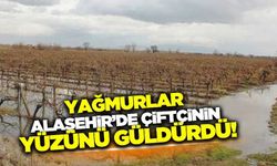 Alaşehir'de yağışlar üreticinin yüzünü güldürdü