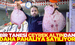 Bu balık başka balık! Fiyatı altınla yarışıyor