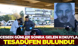 Antalya'da üst geçit altında otların arasındaki ölümden kimsenin haberi olmadı