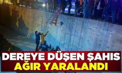 Antalya'da dereye düşen adam ağır yaralandı