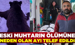 Sivas'ta eski köy muhtarına saldırarak hayatını kaybetmesine neden olan ayı telef edildi