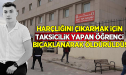 Harçlığını çıkarmak için taksicilik yapan üniversiteli bıçaklanarak hayatını kaybetti