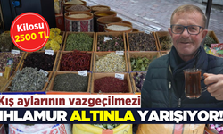 Ihlamur fiyatları tavan yaptı, alternatif kış çaylarına ilgi yoğunlaştı