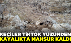 Siirt'te çoban TikTok izlemeye dalınca keçiler kayalıklarda mahsur kaldı