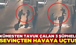 Tavuk hırsızları kamerada! Sevinçten havaya uçtular