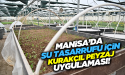 Kurakçıl peyzaj tasarımlarıyla Manisa'da su tasarrufu sağlanıyor!