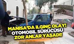 Manisa'da otomobilin motor kısmına sığınan kedi sürücüyü zor durumda bıraktı!