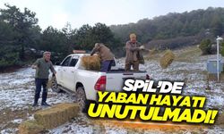 Spil Dağı'nda yaban hayvanları için doğaya yem bırakıldı