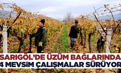 Sarıgöl'de bağlarda budama işlemleri başladı