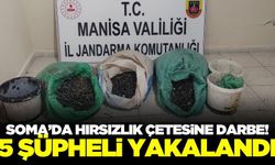 Soma'da zeytin hırsızlığı yapan 5 şüpheli yakalandı