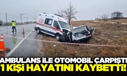 Yozgat'ta ambulans ile otomobilin çarpıştığı kazada 1 kişi öldü