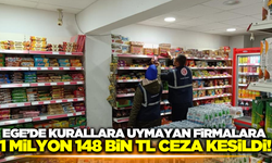 Afyonkarahisar'da 284 firmaya denetim!