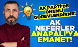 Ahmet Anapalı, Ak Parti teşkilatlarını eğitmekle görevlendirildi