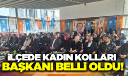 İlçede Ak Parti Kadın Kolları Başkanı belli oldu!