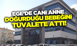 Balıkesir'de cani anne doğurduğu bebeğini klozete attı!